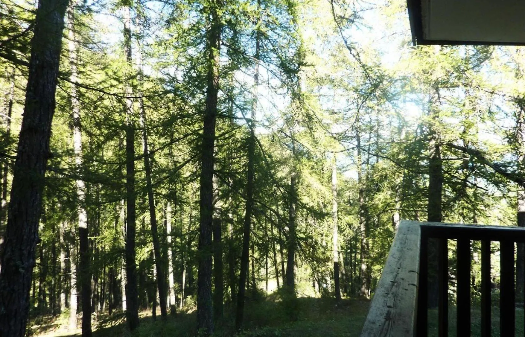 Residence Les Flocons - Residence Les Flocons Mae-6164 Les Orres France